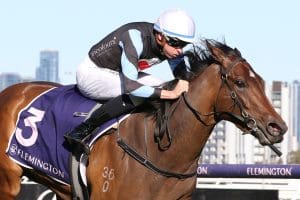 Harlow Mist impresses in VRC Oaks audition