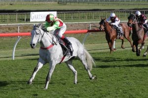 In-form grey looking good for Tarzino