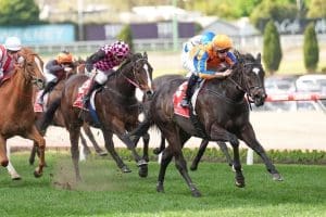 Imperatriz set to bypass Everest