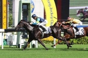 Fresh Banner has Schofield eyeing a follow-up in the Kwangtung Handicap Cup