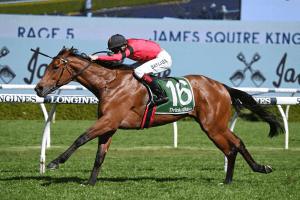 Just Fine demolishes rivals in Kingston Town Stakes