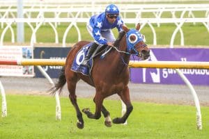 Lady Telena impresses at Riccarton