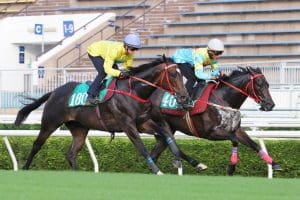 Lucky Sweynesse limbers up for Sunday’s Sha Tin season-opener