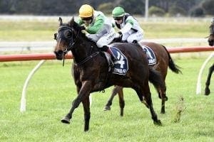 Tiley in no rush with exciting filly