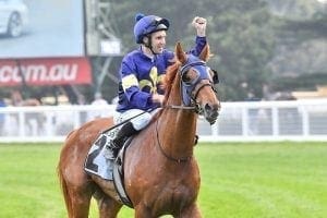 Fresh Mahamedeis to kick off at Flemington