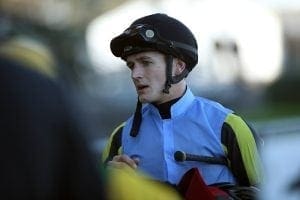 Mitchell adds to international flavour