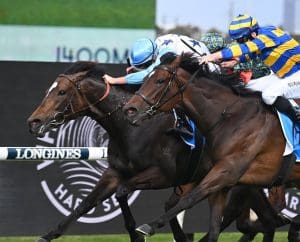 Nimalee wins Golden Pendant, Epsom on the agenda