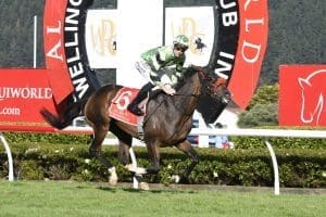 Pennyweka being set for Sydney spring