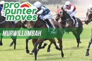 Murwillumbah market movers, Tuesday January 2