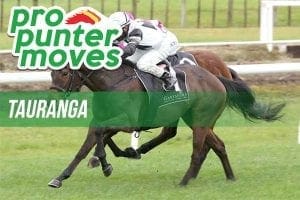 Firmers and drifters for Tauranga, Tuesday, January 2