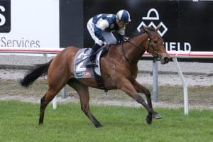 Pier chasing Group 1 glory in Tarzino