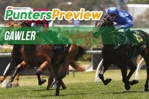 Gawler meeting rescheduled due to heat