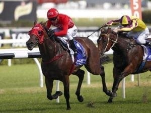 Snowden bullish about Everest favourite