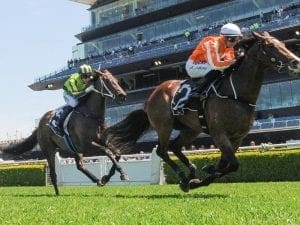 ATC continues to invest in future of Sydney racing