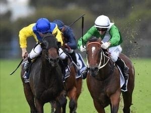 Oohood set to fire in Tea Rose at Randwick