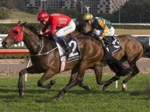 Redzel confirms $10m Everest bona fides