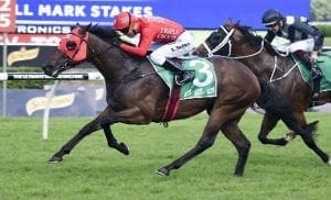 Redzel Feature