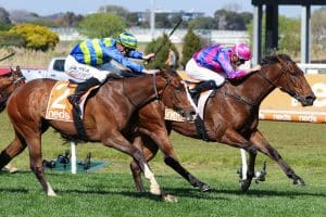 Rheinberg holds on for hat-trick