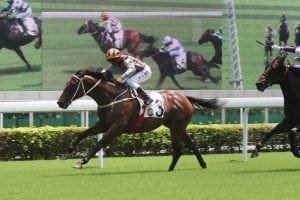 Romantic Touch leads a Sha Tin treble for a new alliance