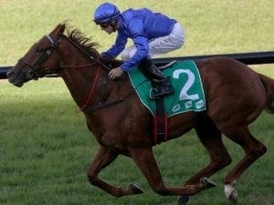 Ex-Godolphin runners a hit with McFarlane