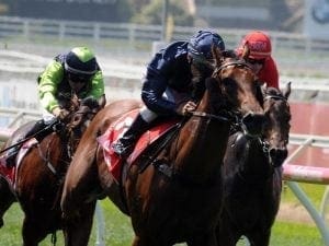 Lindsay Park pair on track for Golden Rose