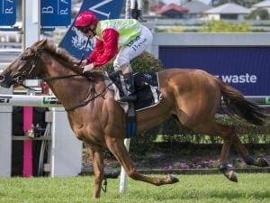 Gollan gives sprinter easier assignments