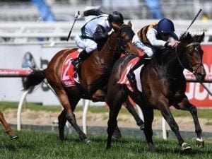 Lord Fandango cleared for Zipping Classic