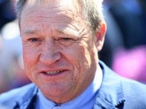 Tony McEvoy Trusting he has a future stayer