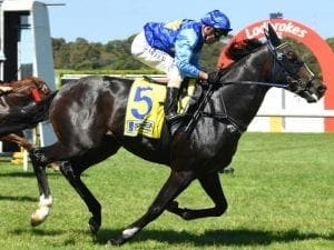 Villa Sarchi impresses in Sandown victory