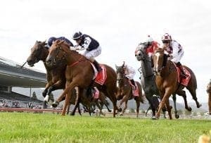 Otaki pair to relish Hastings mile