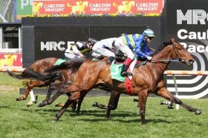 Shock 'Em Ova impresses at Caulfield