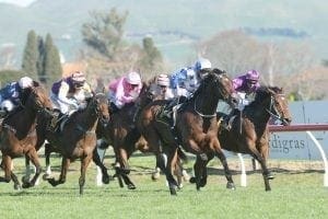 Cups quest continues for Sir Charles Road at Caulfield