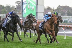 Smokin' Romans snares Caulfield Cup berth