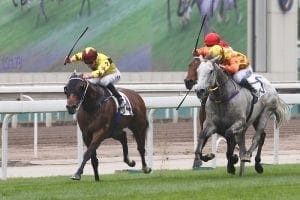 Fownes says Southern Legend ready to step up