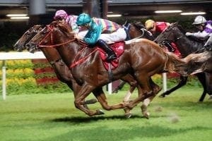 Super Hoppy for Shum as Hong Kong Airlines Million Challenge has lift-off