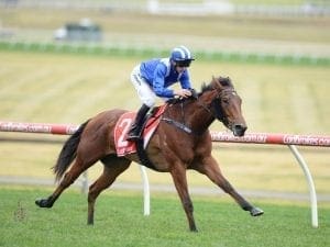 Sanadaat to press Group One Guineas claims