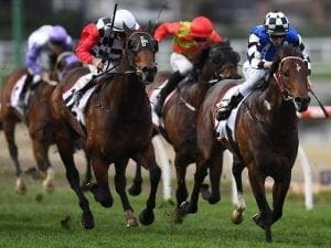 Brave Smash remains in Everest contention