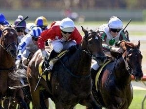 Thrillster on target in Guineas campaign