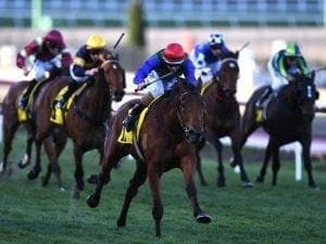 NZ mare Bonneval in winning spring return