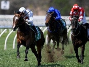 Memento scores maiden win at Warwick Farm