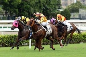 Purton’s Way is a Winner in the HKSAR Chief Executive’s Cup