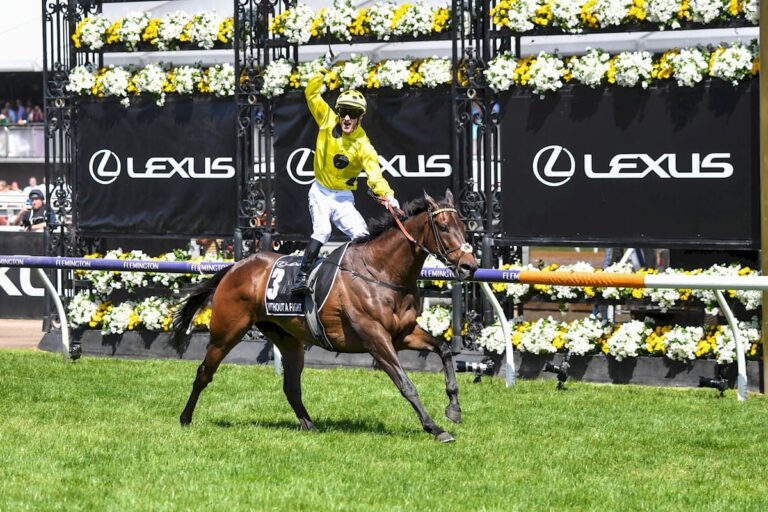 Melbourne Cup 2024 draws 123 nominations BOAY Racing News