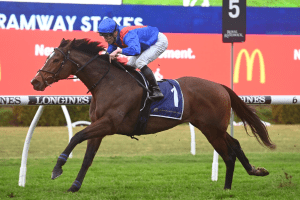 Zaaki, pictured in the Tramway, has receive a strong draw in the Cox Palte