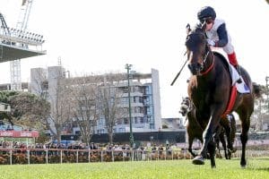 Mr Brightside stamps his Cox Plate ticket