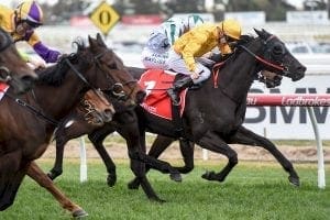 Savanna Amour wins G3 Cockram Stakes