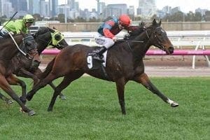 Cannyescent wins at Flemington