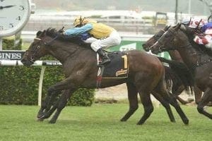 Diamond Tathagata wins Group 2 Skyline Stakes