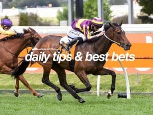 Today's horse racing tips & best bets | September 23, 2021