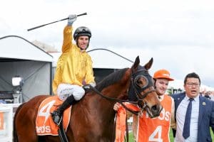 Callsign Mav hands Jamie Mott his first Group 1 success