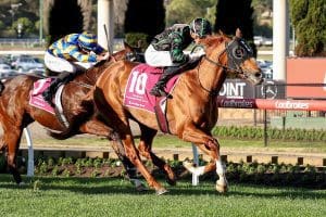 Aysar causes upset in Chautauqua Stakes